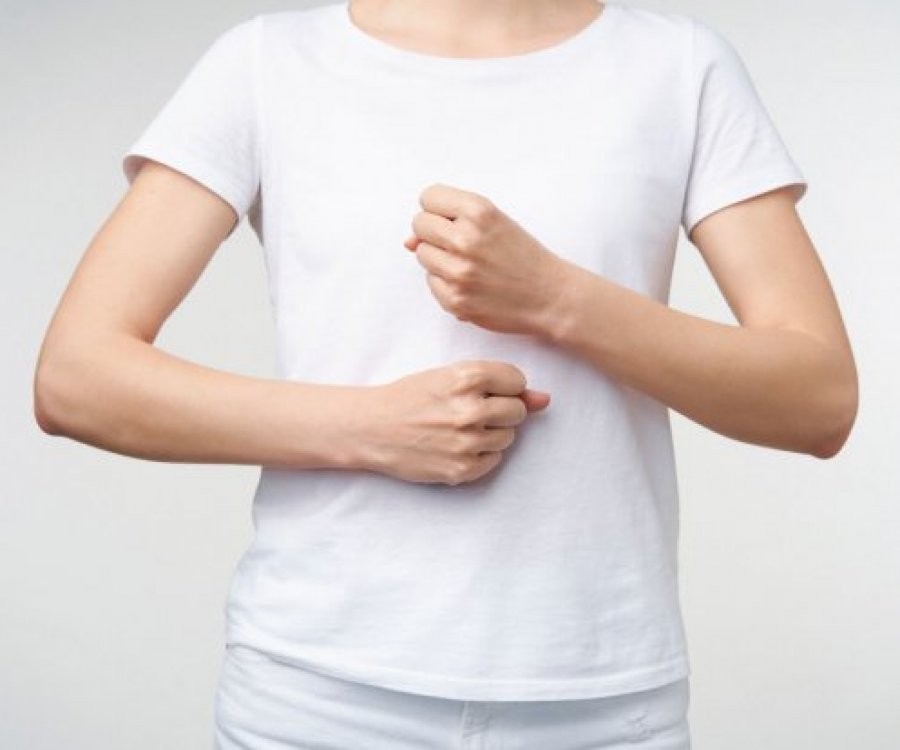 La langue des signes